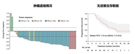 邵志敏教授：立足自身優勢，做好臨床研究——三陰性乳腺癌精準治療的復旦實踐 每日頭條