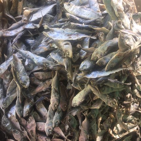 Jual Ikan Asin Deman Ikan Asin Sampah Ikan Sampah 1 Kg Shopee