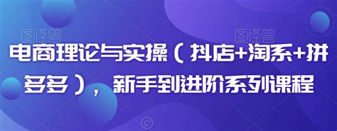 电商理论与实操（抖店淘系拼多多），新手到进阶系列课程 海淘课堂