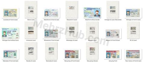 Editable 50 State US Driver's License Templates - MehrzHub