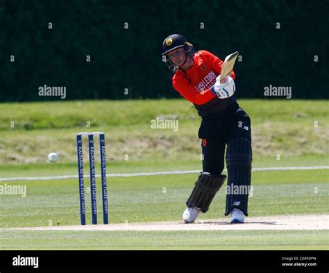 Southern Vipers Hi Res Stock Photography And Images Alamy