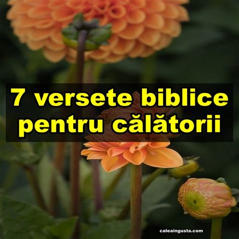 7 versete biblice pentru călătorii Calea Ingusta