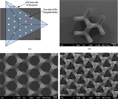 Fabrication Of Complex D Microstructures By One Step Exposure Using A