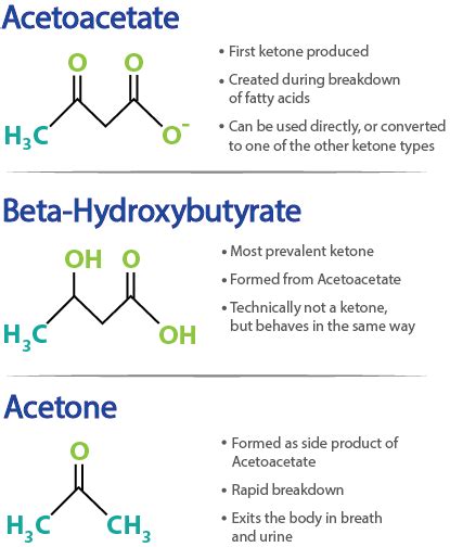 Ketosis Stages Causes What Does It Mean To Be In Ketosis Study