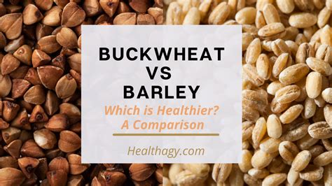 Buckwheat Vs Barley Which Is Healthier A Comparison Healthagy