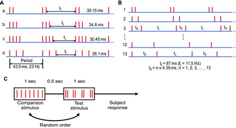 Schematic Of Stimulus Patterns And Experimental Protocol Each Red Download Scientific Diagram