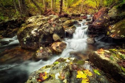 12 Best Hikes in Shenandoah National Park - The Planet D