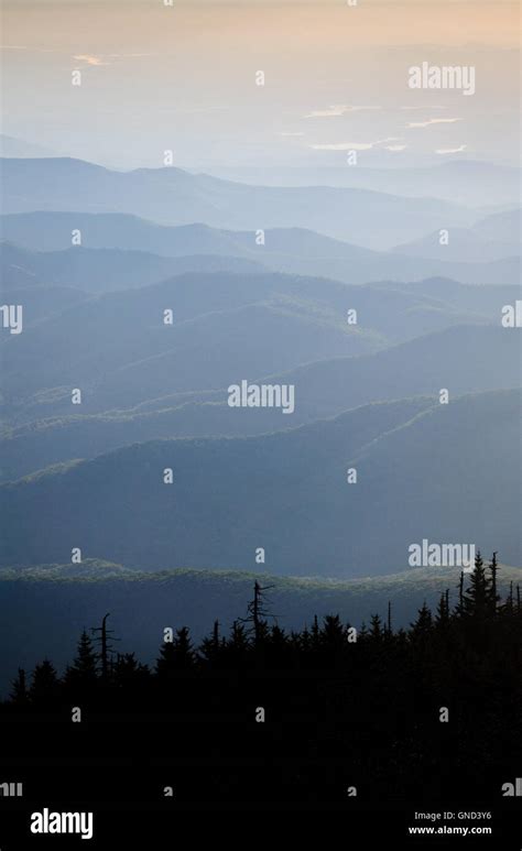 Mount Mitchell State Park Stock Photo - Alamy