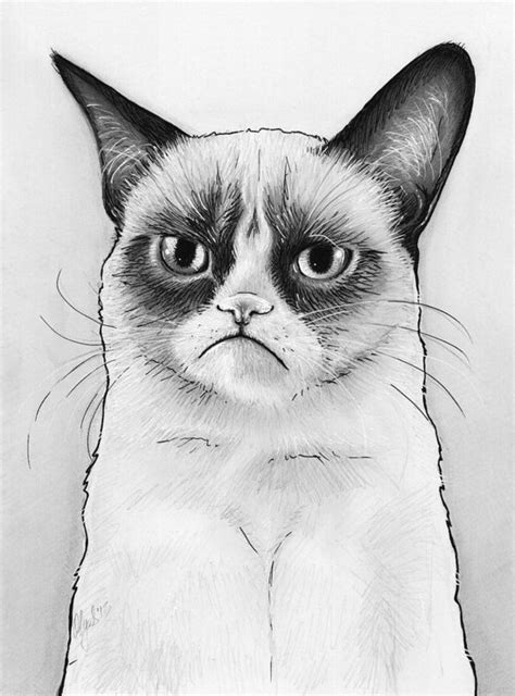 Grumpy Cat Drawing at PaintingValley.com | Explore collection of Grumpy Cat Drawing