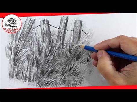 Top 79 Grass Pencil Sketch Best Vn