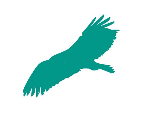 SVG > bird soaring bald eagle - Free SVG Image & Icon. | SVG Silh