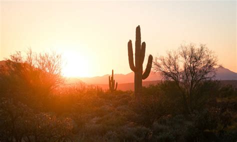 12 Cool Boutique Hotels in Phoenix, Arizona – Wandering Wheatleys