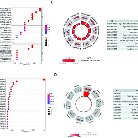 Differential Expression Analysis A Heatmap Of 36 Differentially Download Scientific Diagram