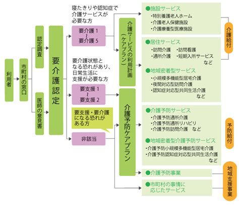 公的介護保険制度（4） 介護サービス利用の流れ 保険相談サロンflp