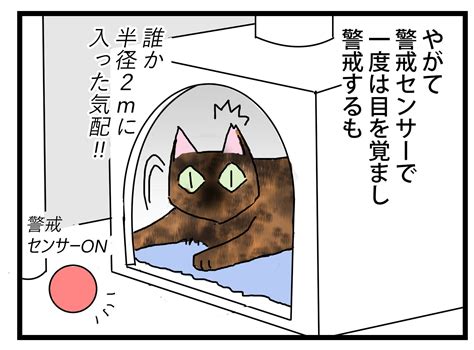 警戒センサー 保護猫かやさん～凛々しいサビ猫様と私～