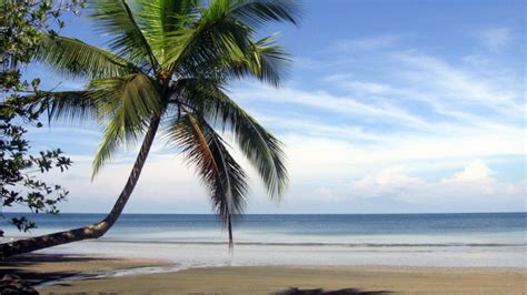 Isla Gorgona Turismo Qué Visitar En Isla Gorgona Colombia 2022