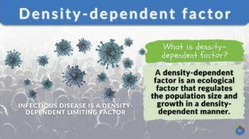 Density Dependent Factor Definition And Examples Biology Online