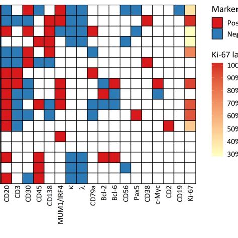 Immunophenotypic Analysis And In Situ Hybridization For Epstein Barr Download Scientific