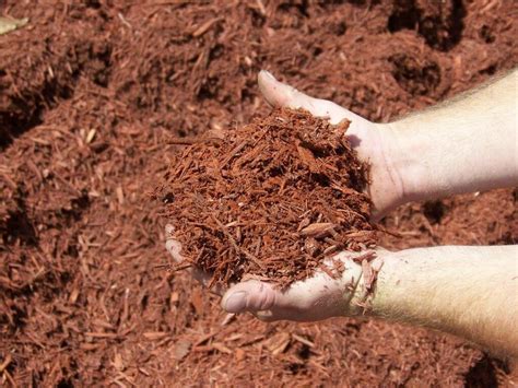 Natural And Colored Mulch Mikes Mulch And Stone Wilmington Nc