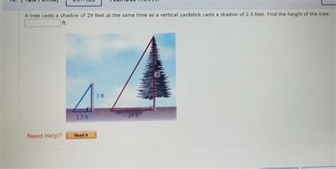 Solved A Tree Casts A Shadow Of 29 Feet At The Same Time As Chegg