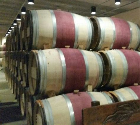 Robert Mondavi winery tour. | Winery tours, Places to visit, Tours