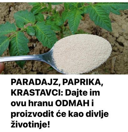 Paradajz Paprika Krastavci Dajte Im Ovu Hranu Odmah I Proizvodit E