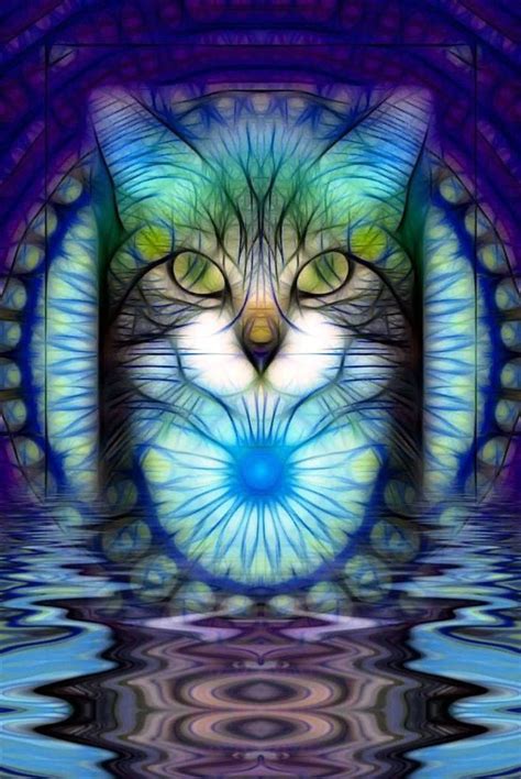 Trippy Cat Wallpapers Top Free Trippy Cat Backgrounds Wallpaperaccess