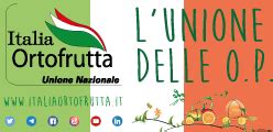 Corriere ortofrutticolo MARTEDÌ PROTAGONISTI DELLORTOFRUTTA A