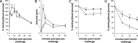 Nonobese Diabetic Mice Express Aspects Of Both Type 1 And Type 2