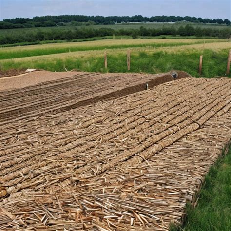 Biomass Energy: An Overview | AITroT