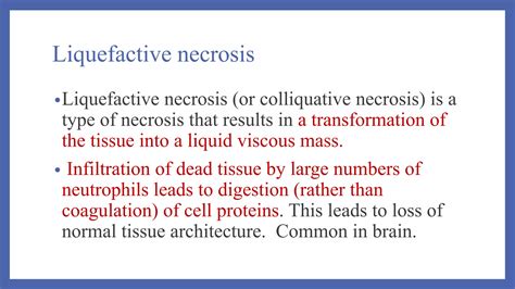 Difference Between Apoptosis Versus Necrosis And Types Of Necrosis Pptx