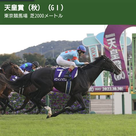 天皇賞（秋） アカリンの競馬