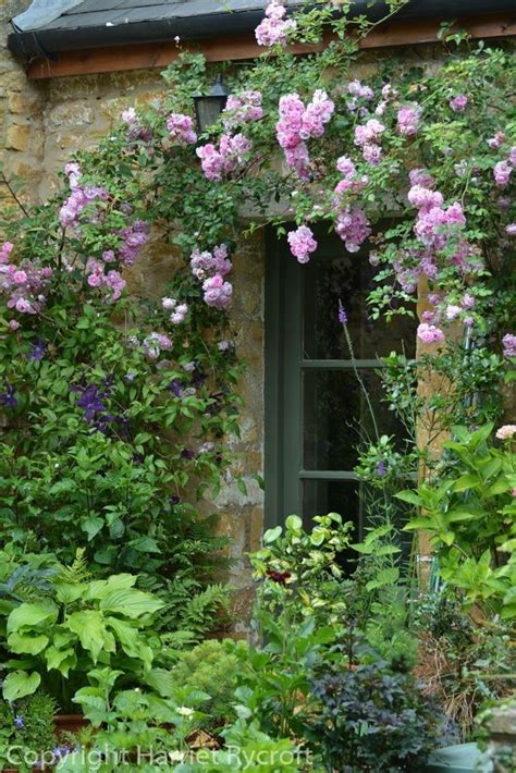 Pin By Clara Camatel On All About My Dream Homes Garden Cottage