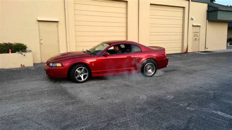 2003 Mustang Cobra Terminator Burnout Youtube