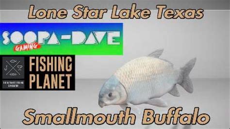 Smallmouth Buffalo Lone Star Lake Texas Fishing Planet Outdated