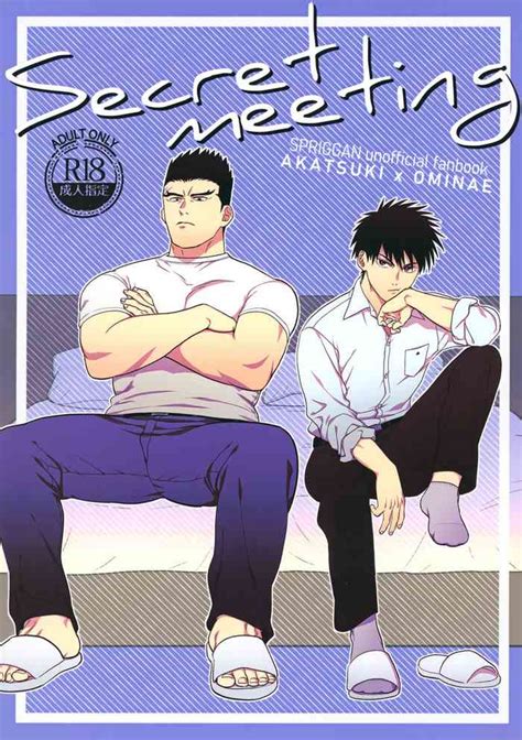Secret Meeting Nhentai Hentai Doujinshi And Manga