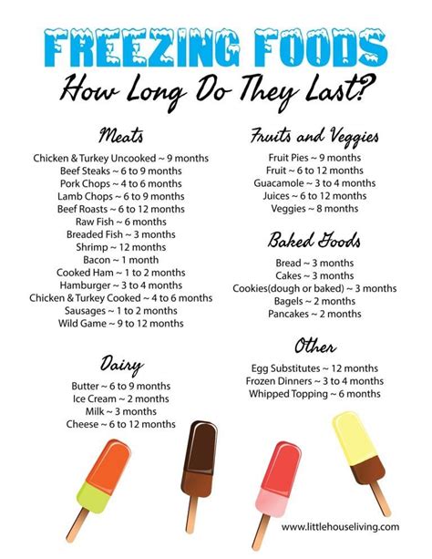 How Long Will It Last In The Freezer Food Shelf Life Freezing Food