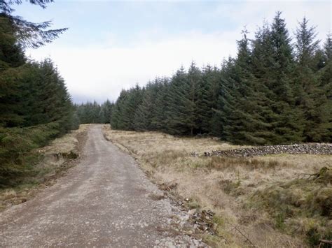 Logging Road Margree Forest Richard Webb Cc By Sa Geograph