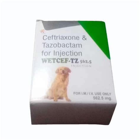 Wetcef Tz Ceftriaxone Tazobactam Injection Mg At Best Price In