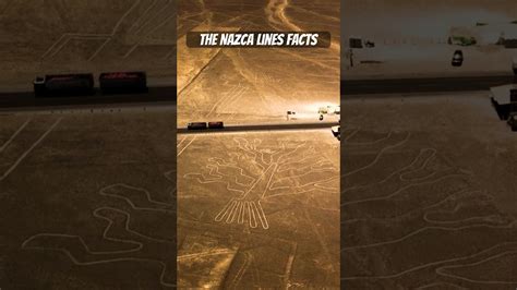 The Nazca Lines Facts Shorts Youtubeshorts Facts Nazcalines Youtube