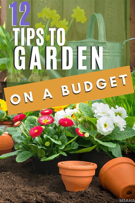 Gardening On A Budget 12 Tips You Must Follow To Save Money