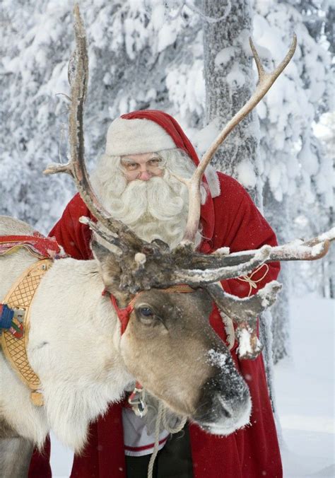 Photos santa claus reindeer in rovaniemi in lapland in finland – Artofit