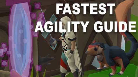 Agility training osrs guide