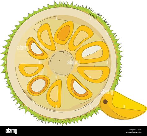 cut  tasty stock vector images alamy