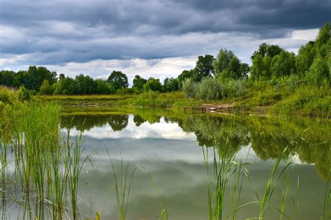 Estanque Bosque Día Nublado Foto gratis en Pixabay Pixabay