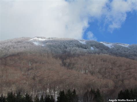 Servizio Fotografico Nuova Neve Al Piano Laceno Pomeriggio