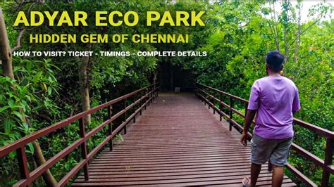 Adyar Eco Park Chennai S Best Kept Secret For Nature Lovers