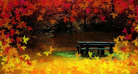 Thanksgiving Scenes Wallpaper - WallpaperSafari