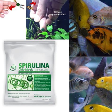 Pa G Spirulina Powder High Grade Chip Magic Pcs Algae Betta Fry