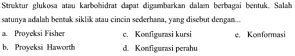 Struktur Glukosa Atau Karbohidrat Dapat Digambarkan Dalam